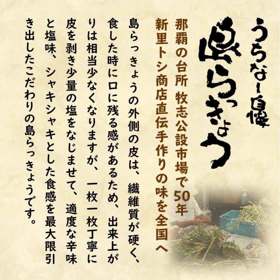 島らっきょう キムチ＜冷蔵＞ 50g×3袋セット 送料無料 島ラッキョウ おつまみ 沖縄野菜 でいごフーズ