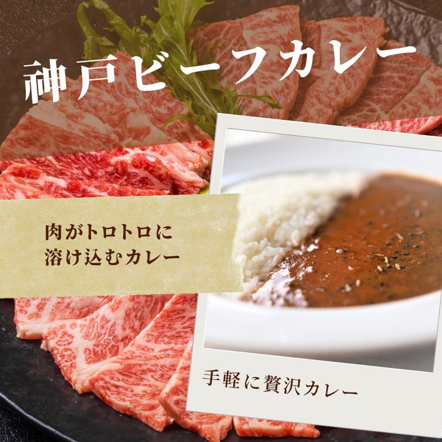 ギフト 2023 2大和牛カレー＆ハンバーグ食べ比べ 5684-37 送料無料