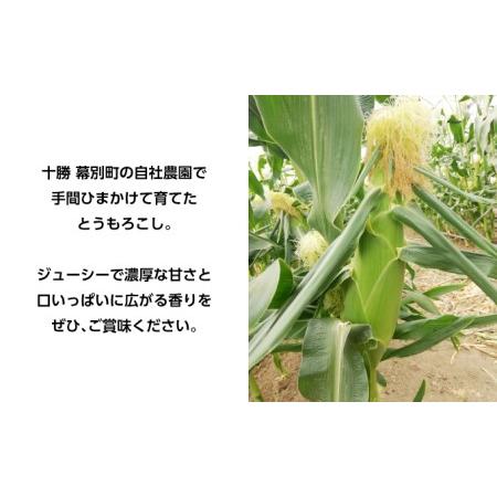 ふるさと納税 とうもろこし 恵味ゴールド 6本「じゅんかん育ち」北海道 十勝 幕別町 北海道幕別町