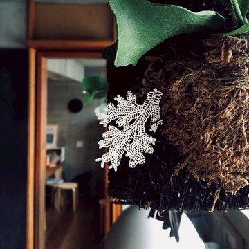 蕨類標本紙雕 - 生根卷柏 | 紙雕 書籤 文具 收藏 母親節 禮物 女