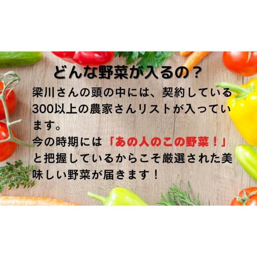 ふるさと納税 岩手県 一関市 収穫したばかりの新鮮野菜セットお試しコース 《7〜8品》 季節のお野菜 おまかせ お楽しみ 獲れたて…