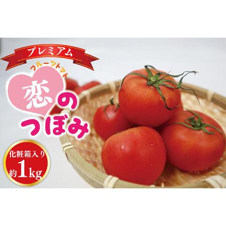 ふるさと納税 AE-7　★数量限定★JA　フルーツトマト恋のつぼみプレミアム約1kg（化粧箱） 茨城県行方市