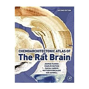 Chemoarchitectonic Atlas of the Rat Brain (Hardcover  2nd)