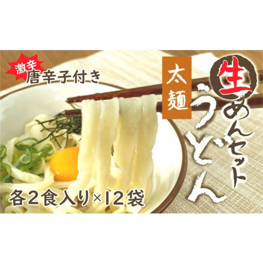 ふるさと納税 山梨県 大月市 生うどん太麺１２袋セット　自家製激辛とうがらし付き