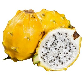 青禾園藝（黃皮火龍果種子）HLG9 黃龍果種子 黃皮白肉~生產期短~盆栽四季播種高產耐熱水果種子#台灣自留種