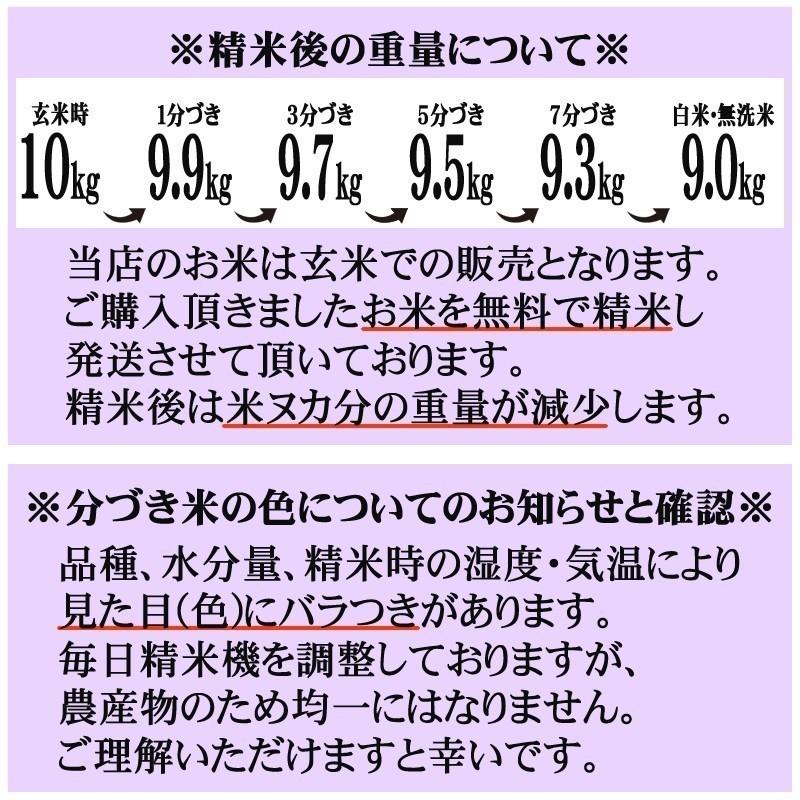 新米 米 玄米 30kg ひとめぼれ 10kg×3袋 令和5年産 岩手県産 精米無料 白米 無洗米 当日精米 送料無料