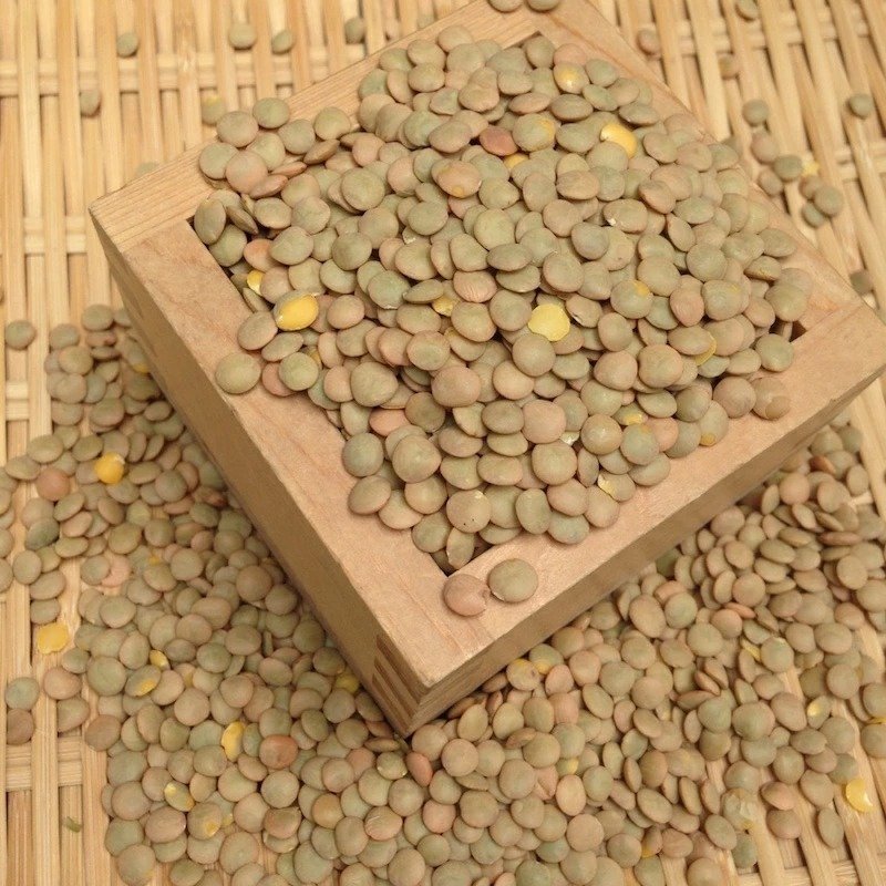 900g ブラウンレンズ豆 (皮付き)  レンズ豆 茶レンズ アメリカ産
