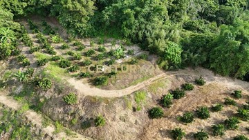中寮土地-南投中寮內城3.7甲農地+建地｜南投縣中寮鄉先驅段