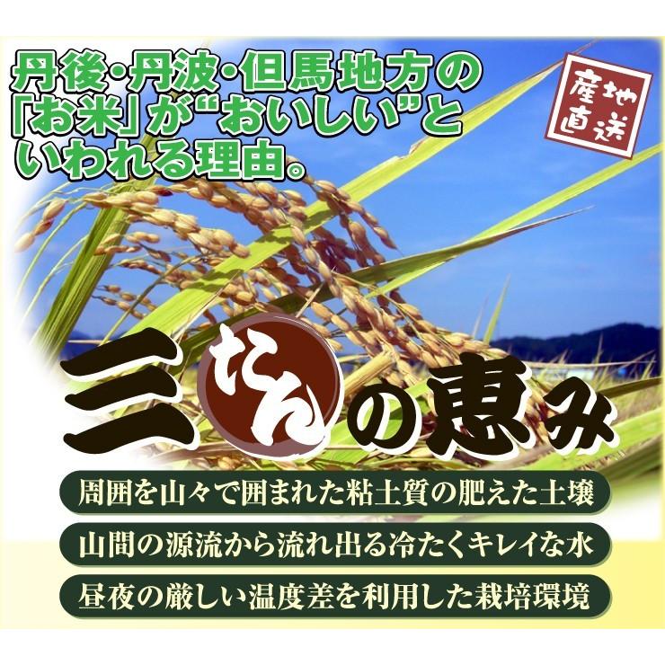 新米 お米 5kg コシヒカリ 特別栽培米 7.5割農薬減 兵庫県 丹波篠山産 白米 分づき可 特A 一等米 当日精米 令和5年産