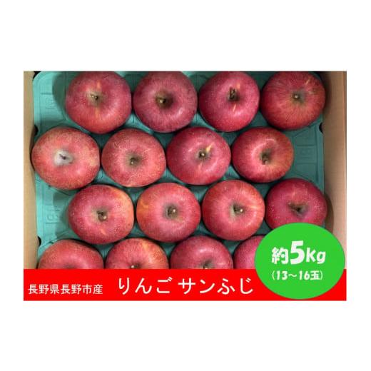 ふるさと納税 長野県 長野市 J0938 長野市産 サンふじ 約5kg (13〜16玉)OKABE fruits