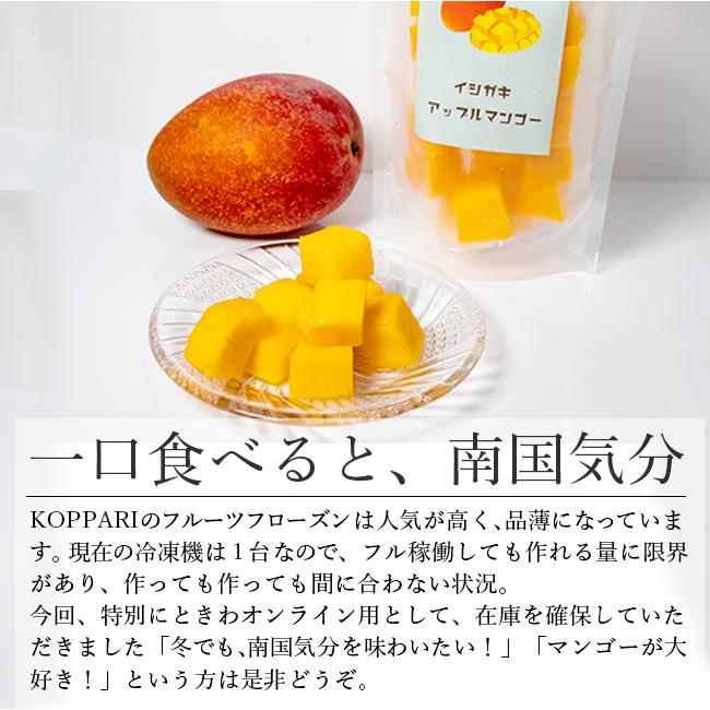冷凍 マンゴー フローズン 6パック入 国産 沖縄 石垣島