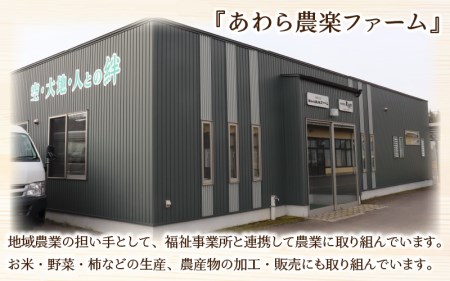 令和5年産 ＜定期便3回＞ ハナエチゼン 精米 10kg×3回（30kg）《発送直前精米！》  ／ ブランド米 華越前 ご飯 お米 白米 新鮮 あわら市産 農家直送 大賞 受賞 新米