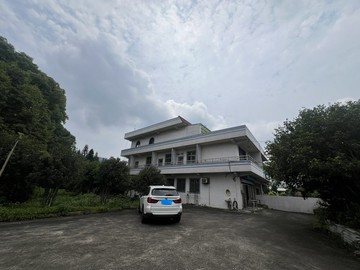 出價談!大溪牧農大地坪透天別墅｜桃園市大溪區頭寮路