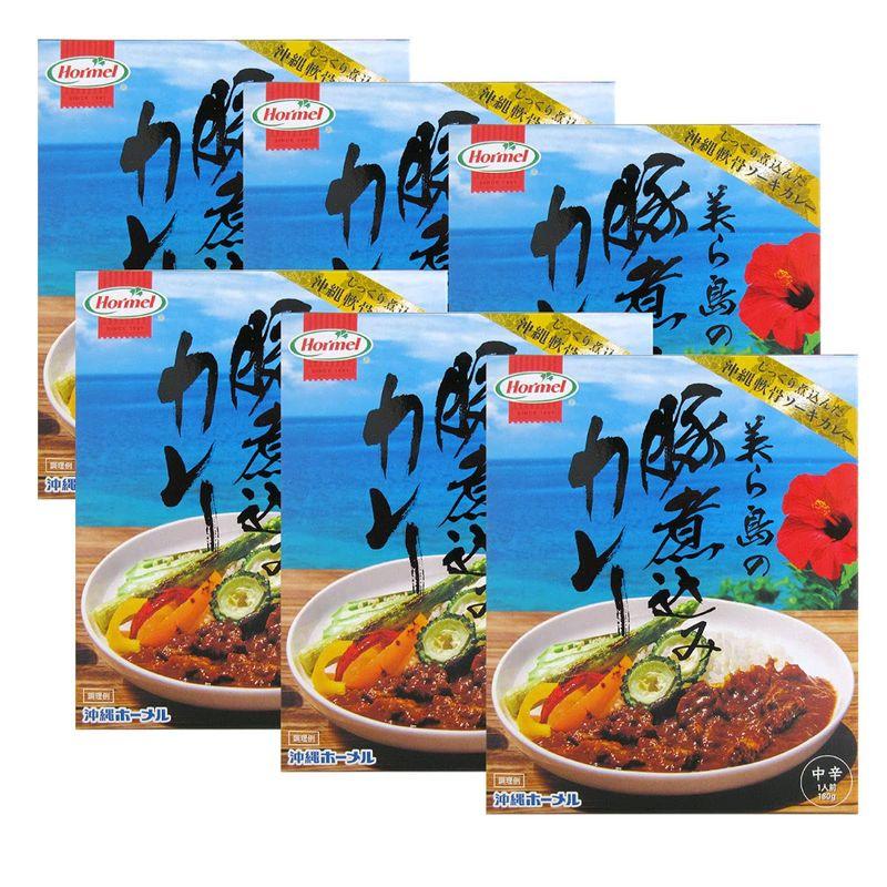 美ら島の豚煮込みカレー 中辛 1人前 180g 6個セット