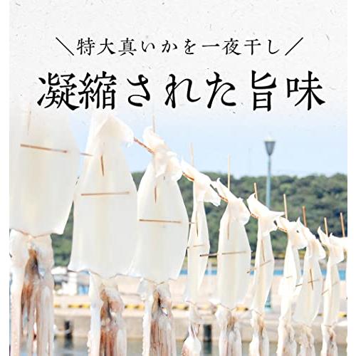 イカ一夜干し 特大サイズ4枚 北海道産 稚内