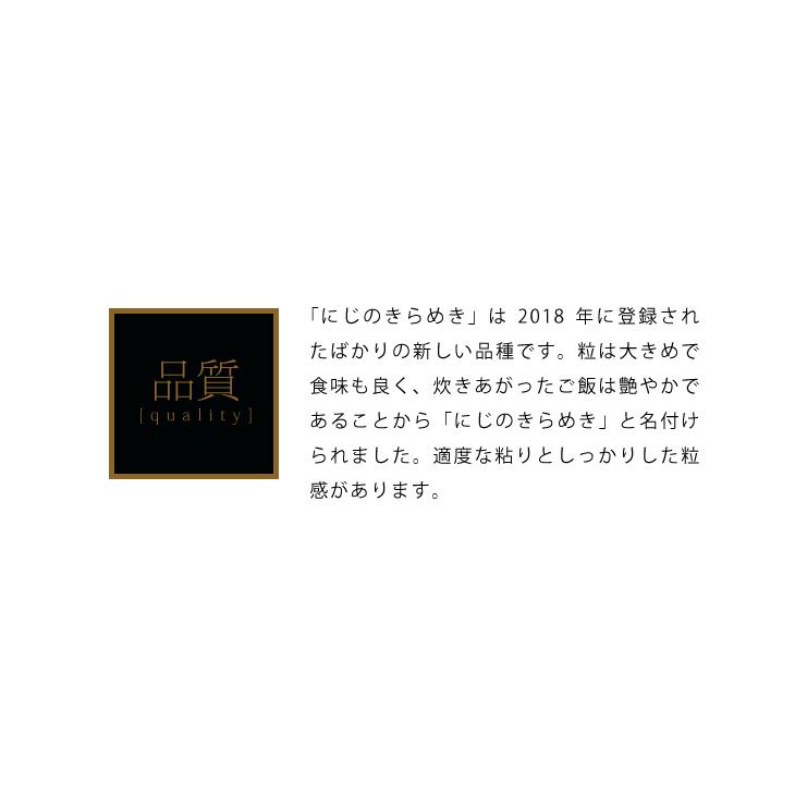 米 30kg お米 にじのきらめき 送料無料 業務用米 まとめ買い 新米 令和5年 栃木県産（北海道・九州 300円）沖縄・離島不可