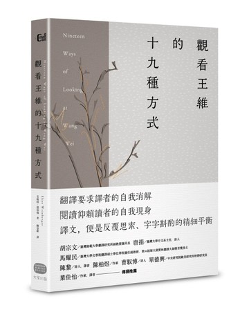觀看王維的十九種方式[二手書_良好]