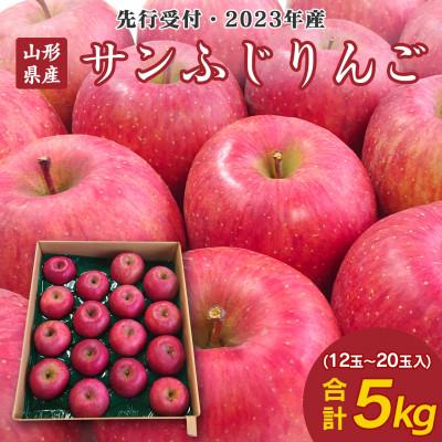 ふるさと納税 山形県 山形県産サンふじりんご 約5kg (12〜20玉入り)