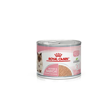 Royal Canin 離乳貓與母貓專用濕糧BC34W 195Gx12入