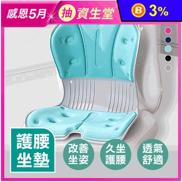 高質感護腰美姿矯正坐墊