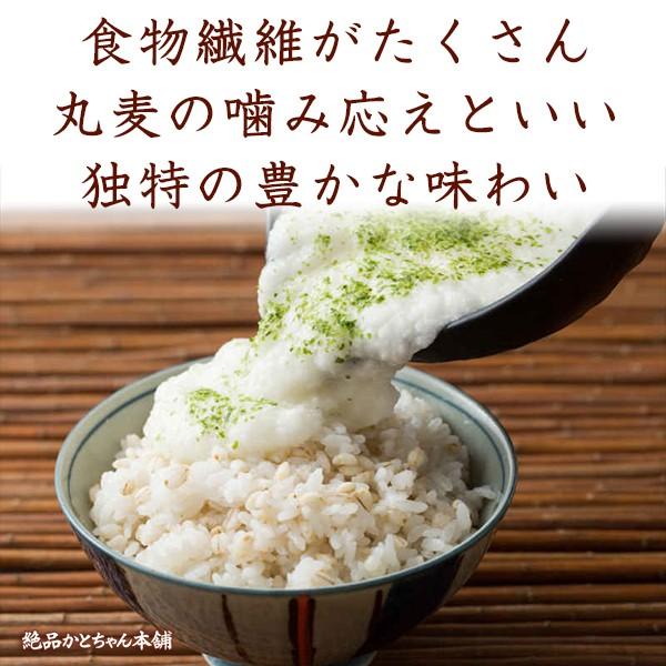 雑穀 雑穀米 国産 丸麦 27kg(450g×60袋) 送料無料 ダイエット食品 置き換えダイエット 雑穀米本舗 ＼セール／