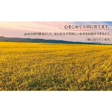 ふるさと納税 新潟コシヒカリ 無洗米5kgを5か月連続お届け 米 定期便 5ヶ月 コシヒカリ 精米 白米 無洗米 コメ こめ お米 おこめ 5kg .. 新潟県新潟市