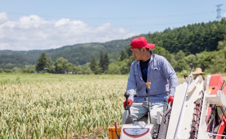 丸美農園 田子産贈答用にんにく（L）15個