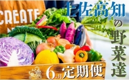 高知の新鮮野菜セット 旬の野菜を味わう6ヵ月便