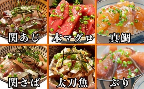 豊後絆屋 りゅうきゅう(6種×2食セット) 大分郷土料理 年内配送 年内発送 年内お届け 刺身 冷凍 セット 海鮮 漬け 産地直送 大分県 真空パック 小分け 惣菜 人気 海鮮丼 漬け丼 おせち マグロ 関アジ 関さば 太刀魚 鯛 ぶり ＜101-005_5＞