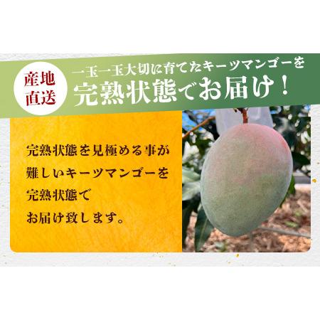 ふるさと納税 《2024年6月下旬〜7月下旬発送》最高糖度23度！？ 完熟！7Lサイズ お得な幻のキーツマンゴーTF-4 沖縄県石垣市