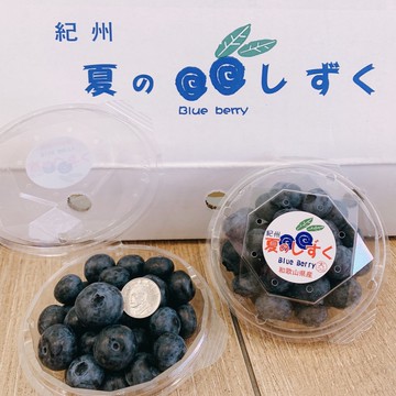 【帕查嬤嬤】🇯🇵日本 紀州 和歌山 藍莓🫐｜日本藍莓禮盒