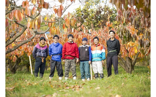 出雲産西条柿の干し柿