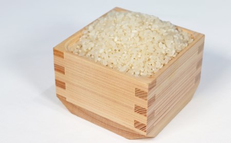 T rice Store 岐阜県産コシヒカリ 30kg(5kg×6回）