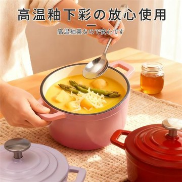 批發2025新款鑄鐵鍋家用煲湯多功能電磁爐耐高溫帶蓋一人份琺瑯鍋