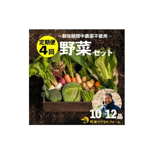 ふるさと納税 徳島県 阿波市 野菜 お楽しみ 定期便 4回 10~12品目 詰め合わせ セット 阿波 ツクヨミ ファーム 玉ねぎ とまと じゃがいも