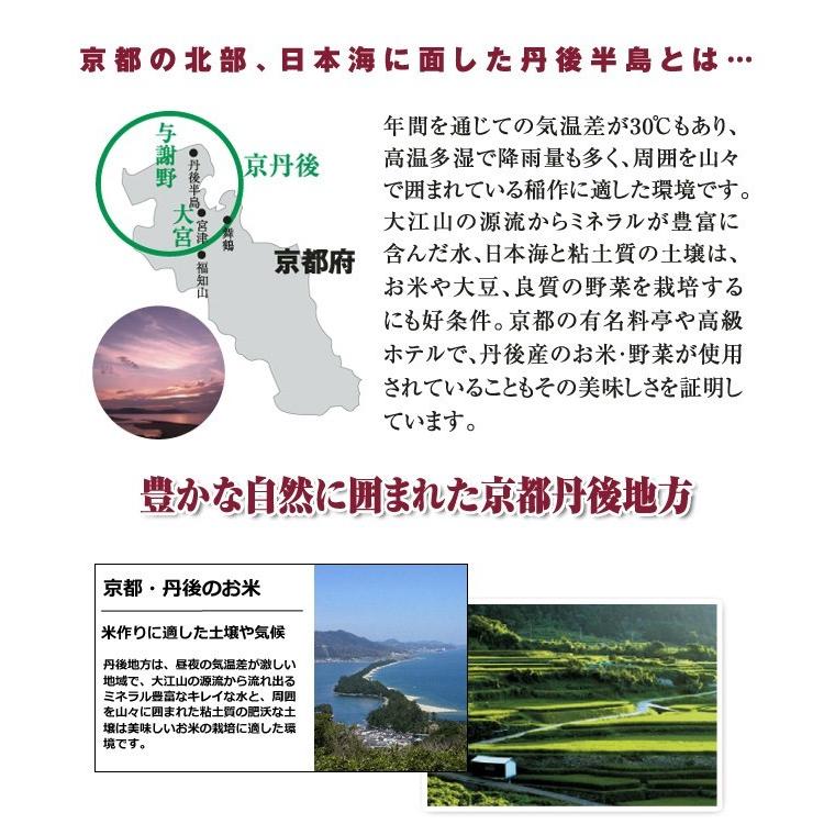 新米 お米 2kg コシヒカリ 当日精米 京都米 丹後産 京の豆っこ米（分づき可能・一等米・特別栽培米） 令和5年産