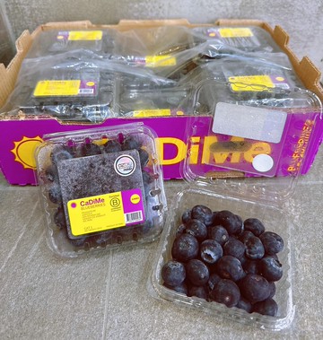 【帕查嬤嬤】??秘魯 香甜新品種 藍莓 16mm 125g??｜秘魯藍莓禮盒   1盒 / 125g+-5%