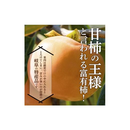 ふるさと納税 岐阜県 岐阜市 富有柿　2Ｌ　12個