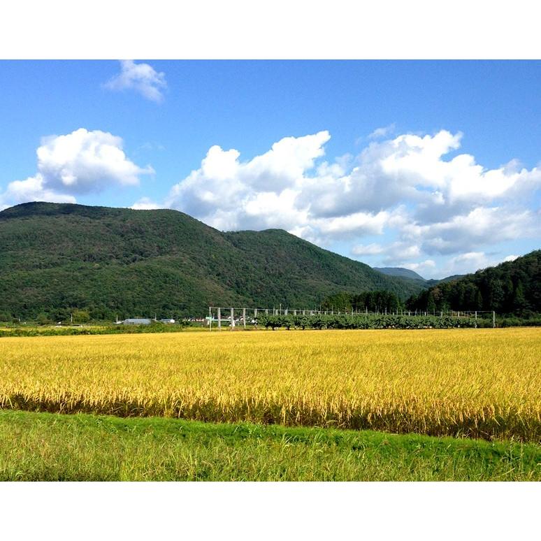 米 福島県産 精米 カトウファーム 天のつぶ 5kg