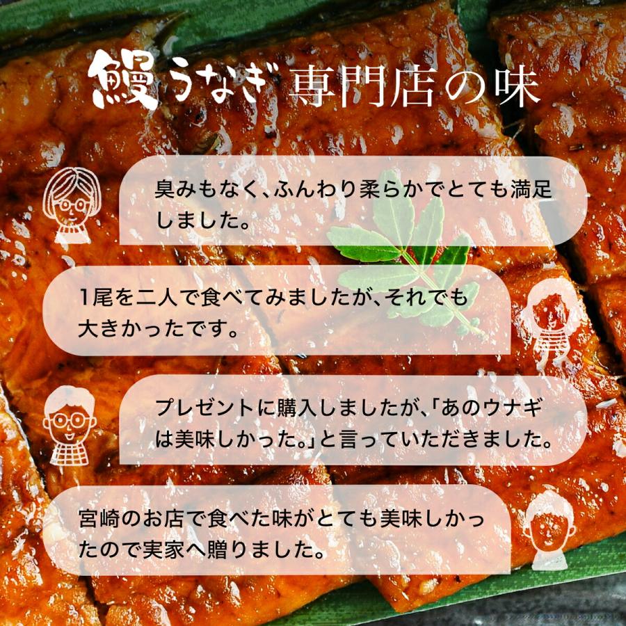 うなぎ お歳暮 プレゼント 鰻楽 国産 蒲焼 長焼2尾 セット 鰻 ウナギ 蒲焼き 冷凍 真空パック 宮崎 鹿児島 食品 お取り寄せ グルメ ギフト 60代 70代 80代