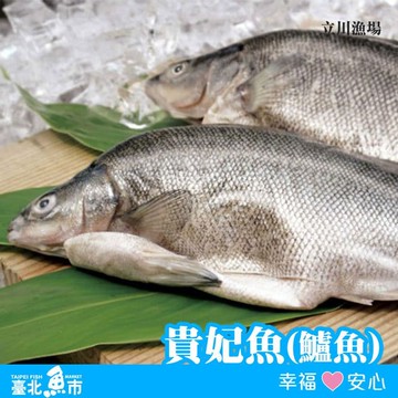 【臺北魚市】貴妃魚500g*5包