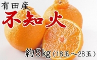 有田の不知火約5kg（18～28玉）★2024年2月上旬頃より順次発送