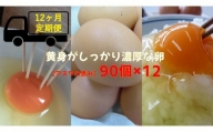 U-9 ◆12ヵ月定期便◆ 黄身がしっかり濃厚な卵90個×12