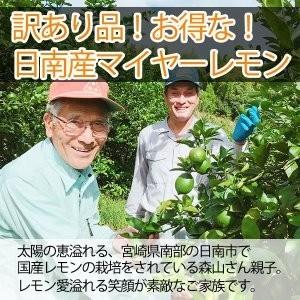 訳あり国産レモン　日南産マイヤーレモン（サイズ混合）　※ノーワックス