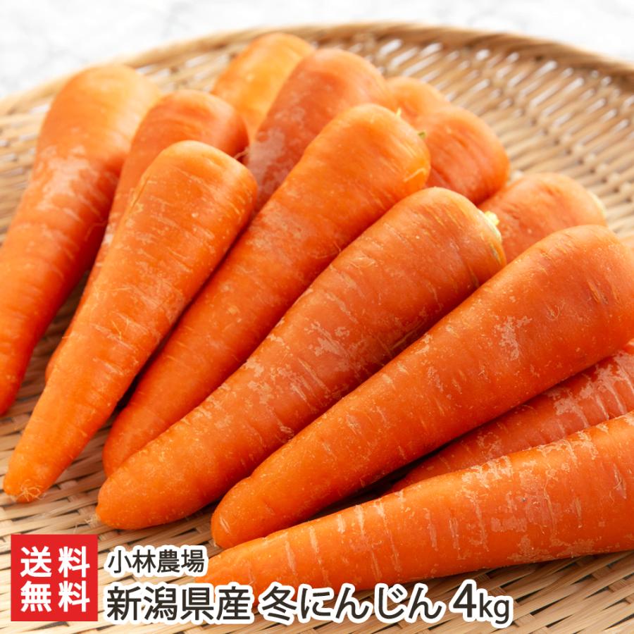 新潟県産 冬にんじん 4kg 小林農場 送料無料