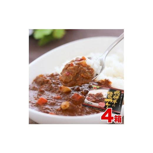 ふるさと納税 岐阜県 飛騨市 飛騨牛の極旨カレー　２食入り×４箱