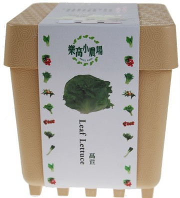 iPlant 積木小農場-萵苣