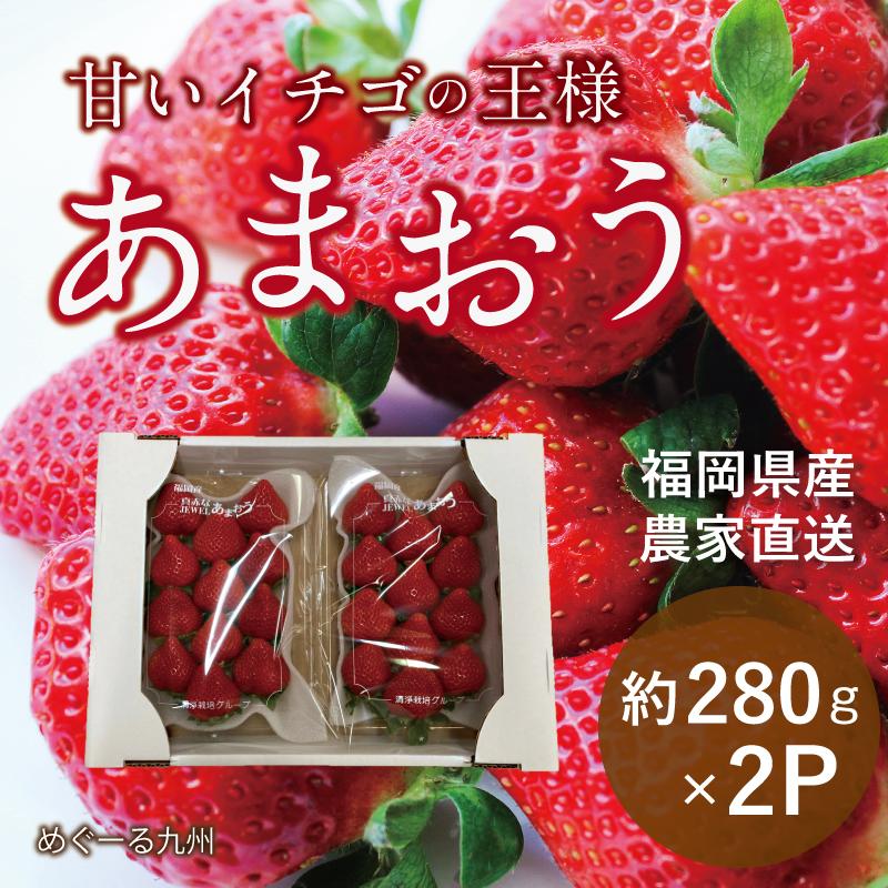 2月上旬発送予定 福岡県産 あまおう いちご イチゴ 苺 朝採り 農家直送 産地直送 お取り寄せ 甘い 美味しい 濃厚 旬 ご家庭用 ご自宅用 280g×2パック