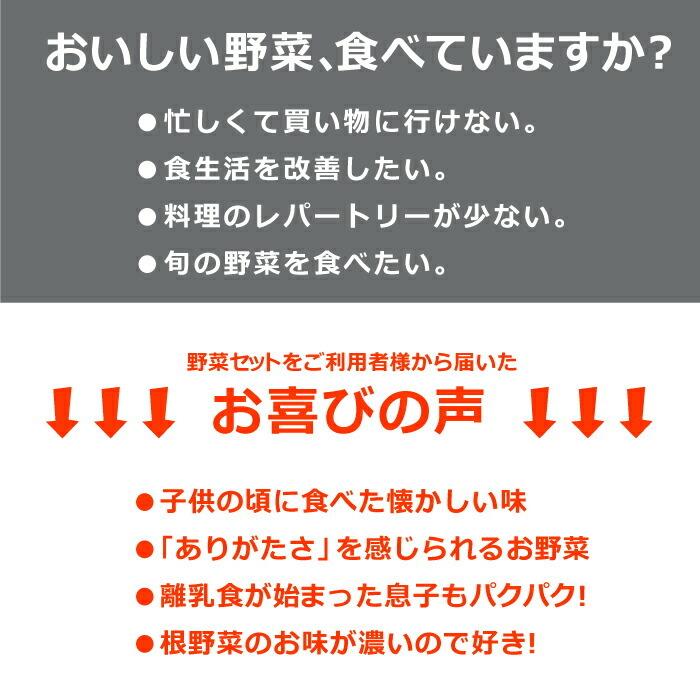 野菜セット 真庭あぐり野菜セット 7〜8品 カット野菜入り 送料無料