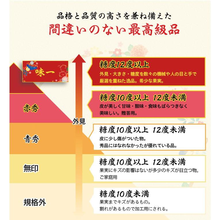 お歳暮 みかん プレミアム有田みかん 味一 2L〜2Sサイズ 2.5kg 糖度12度以上 和歌山県産 糖度12度以上 JAありだ ミカン 蜜柑 ギフト お歳暮